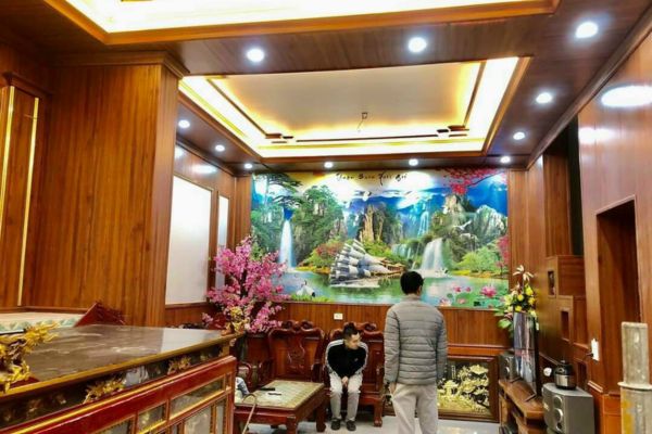 mẫu nhựa ốp tường phòng khách 